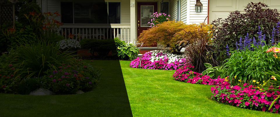 Livingston Landscapers